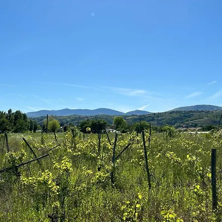 Le Paradis Du Rhone - Mobilhome Moderne Et Confortable Chalet Condrieu